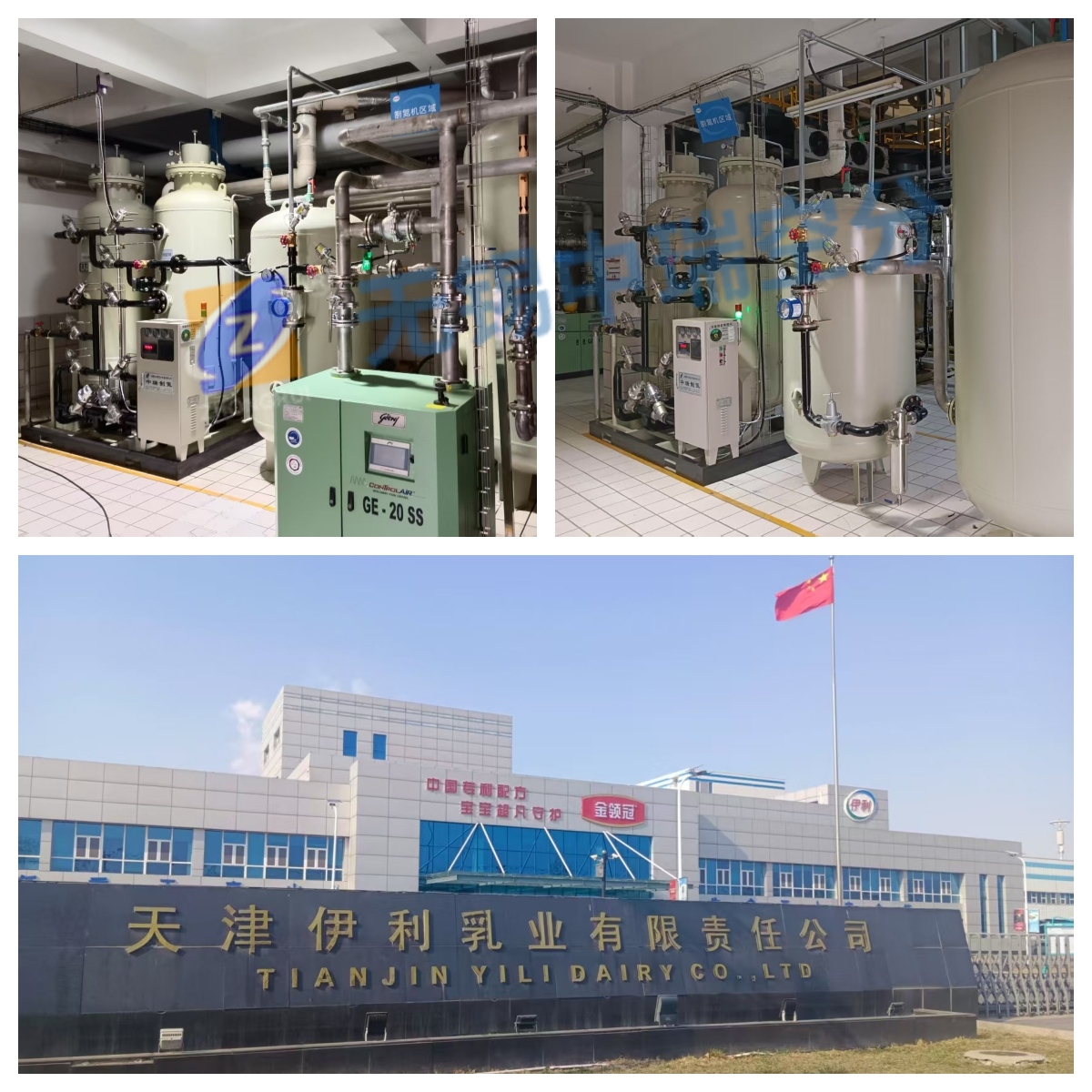 天津伊利乳業.jpg